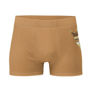 Golden Brown Boxer Briefs